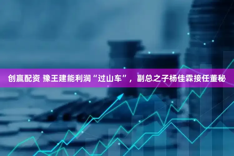 创赢配资 豫王建能利润“过山车”，副总之子杨佳霖接任董秘